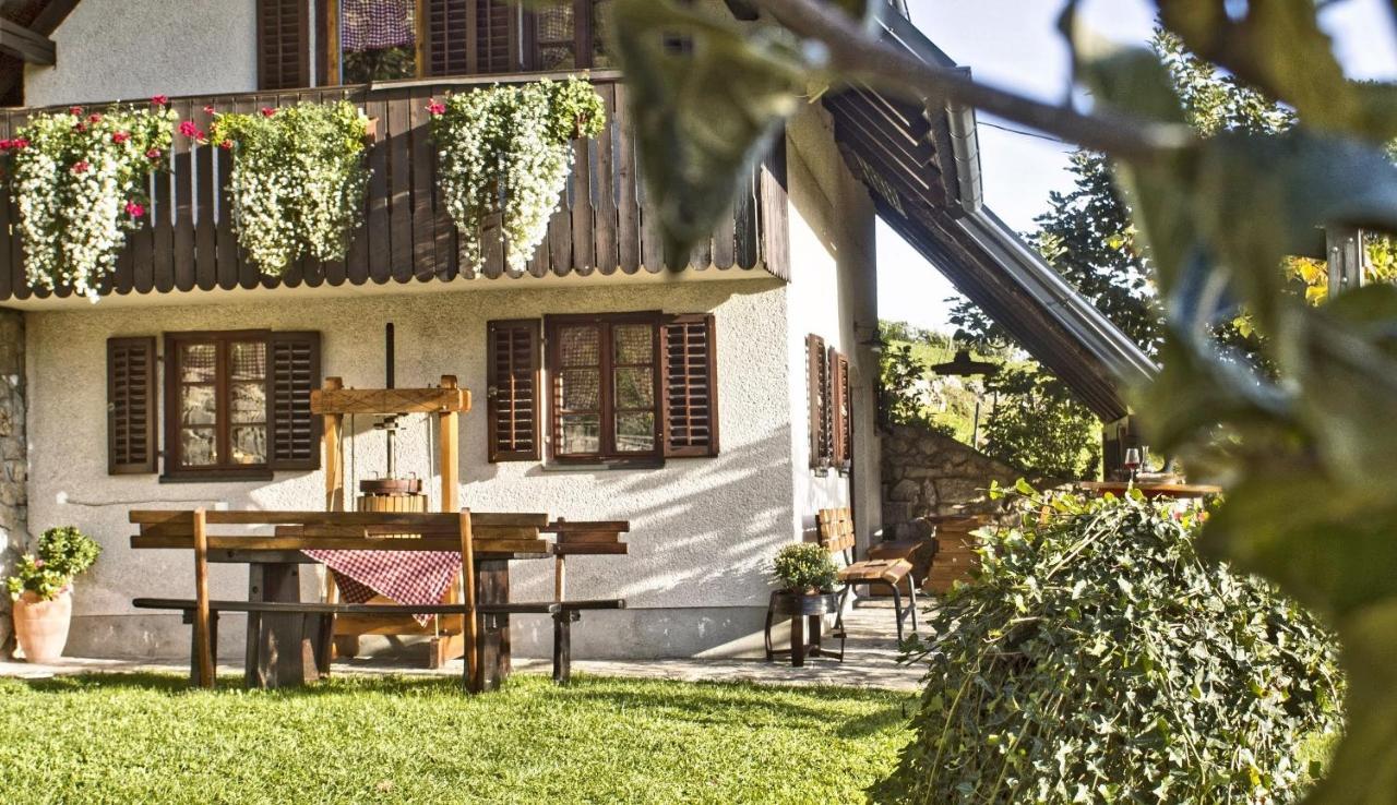 Vineyard Cottage Podrzaj Otočec Екстериор снимка