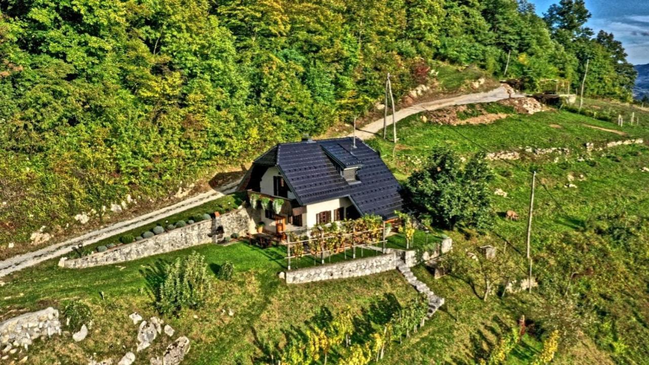 Vineyard Cottage Podrzaj Otočec Екстериор снимка