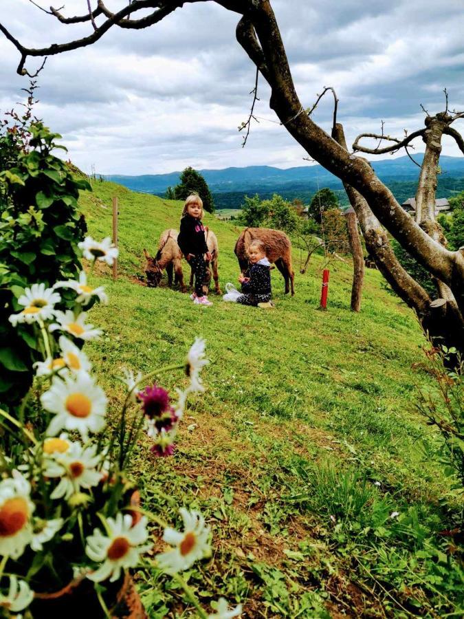 Vineyard Cottage Podrzaj Otočec Екстериор снимка