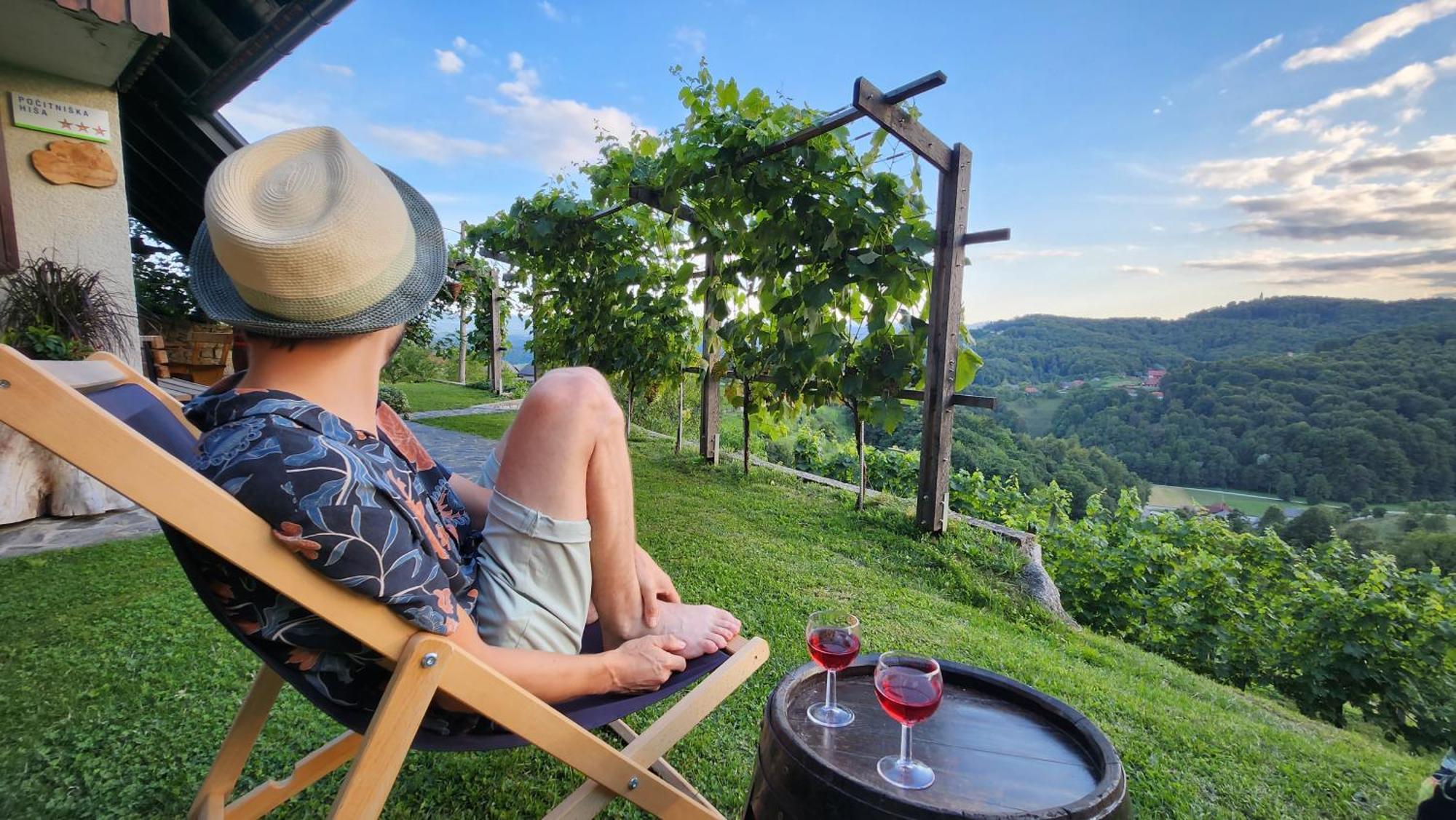 Vineyard Cottage Podrzaj Otočec Екстериор снимка